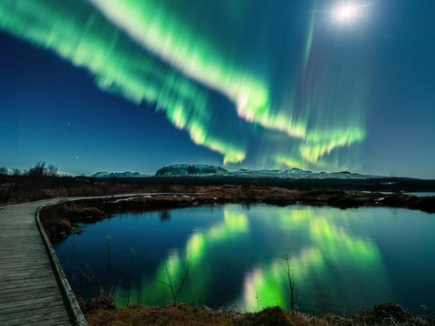 Reykjavik Northern Lights Tour with Professional Photographer