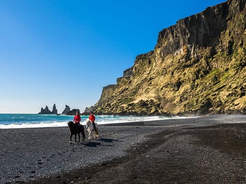 Glacier Hike & Horse Riding in South Iceland