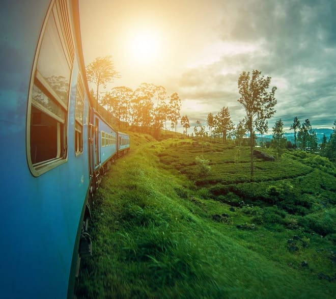 Nuwara Eliya Day Tour from Kandy 4