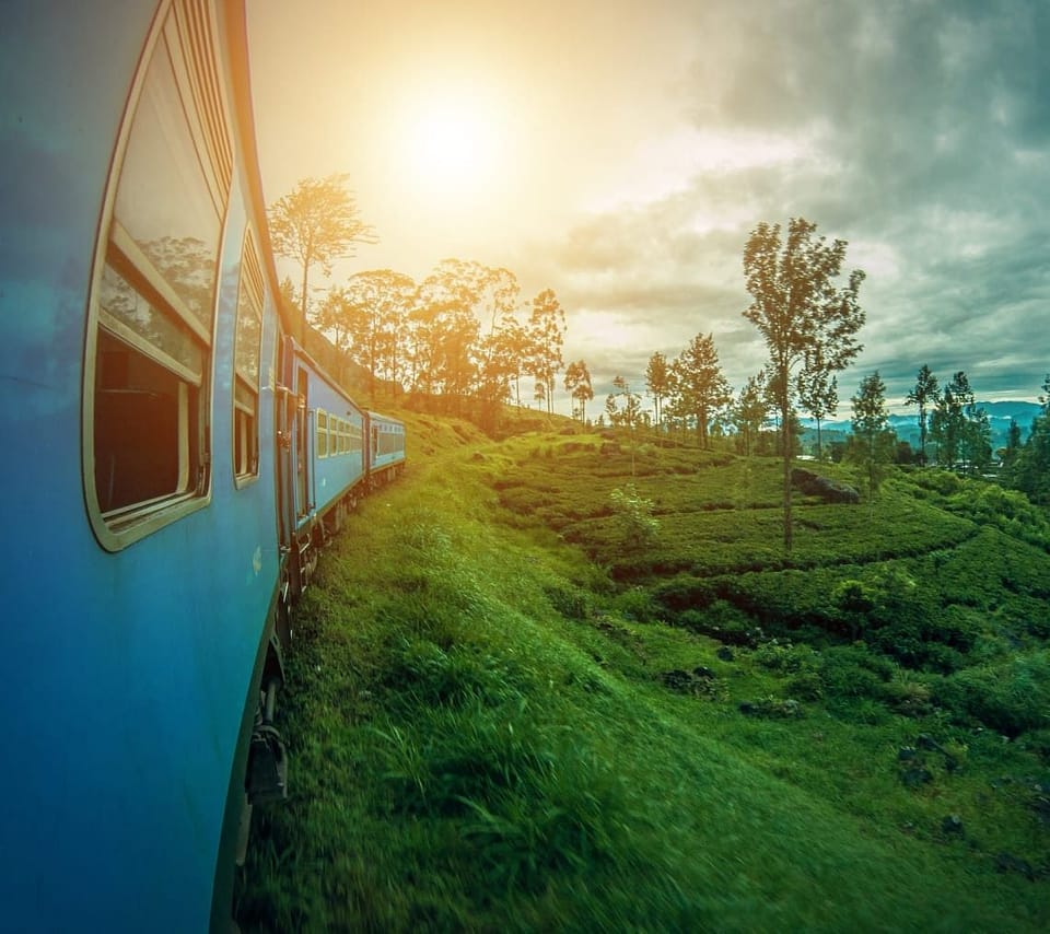 Nuwara Eliya Day Tour from Kandy 4