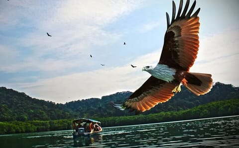 Private Guided Tour and Eagle Watching in Southern Island Geopark