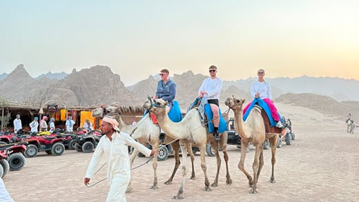 Camel caravan, Hurghada