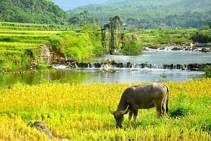Pu Luong Nature Reserve 2 Days Small Group Tour from Hanoi