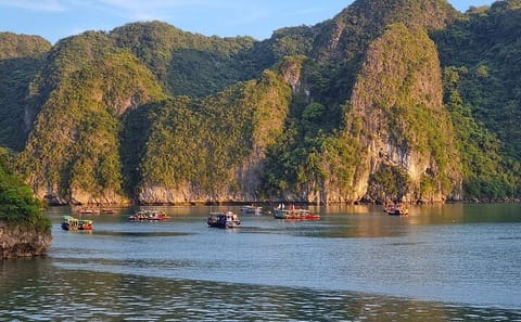 Hanoi to Halong Bay: 2-Day Royal Palace Cruise with Cave,Island