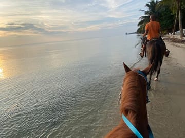 Family-friendly horseback ride in Placencia