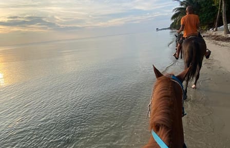 Horseback Riding Tour Along Belize's Placencia Coastline