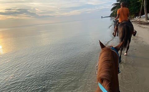 Horseback Riding Tour Along Belize's Placencia Coastline