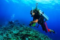 Scuba Diving Tour with Lunch in Alanya 6