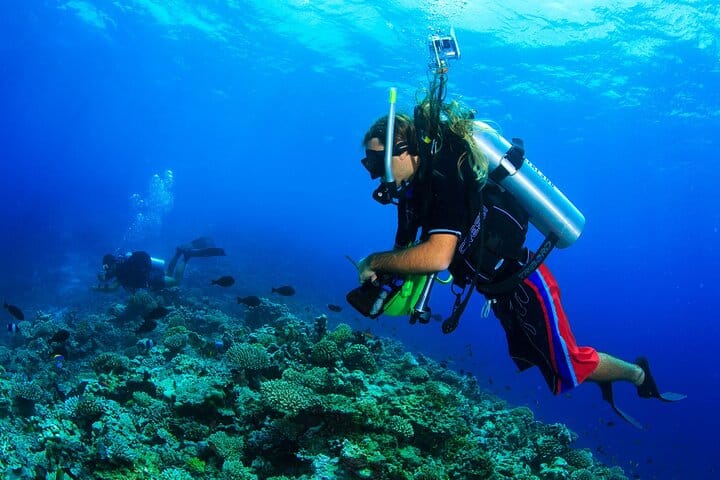 Scuba Diving Tour with Lunch in Alanya 6