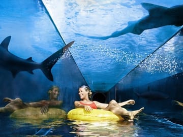 Aquaventure Water Park Tour with Private Transfers in Dubai