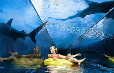 Aquaventure Water Park Tour with Private Transfers in Dubai
