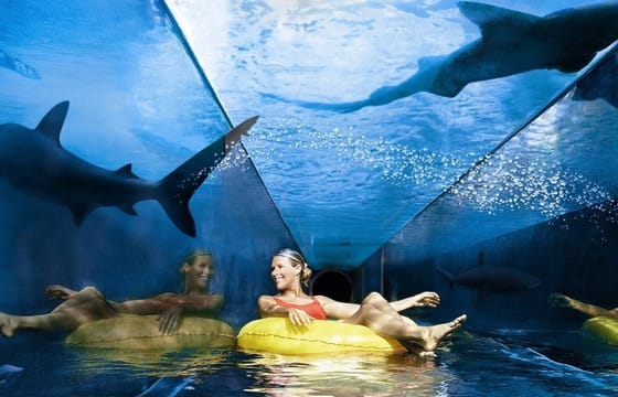Dubai Atlantis Aquaventure Water Park Tour with Private Transfers