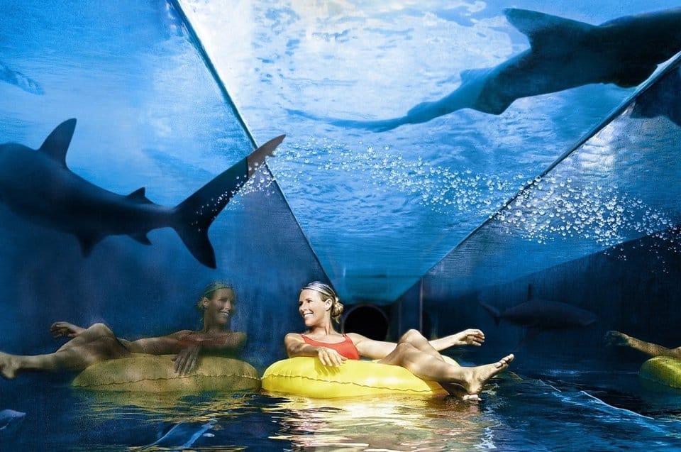 Dubai Atlantis Aquaventure Water Park Tour with Private Transfers 2