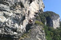 Krabi’s Ultimate Rock Climbing Experience 8
