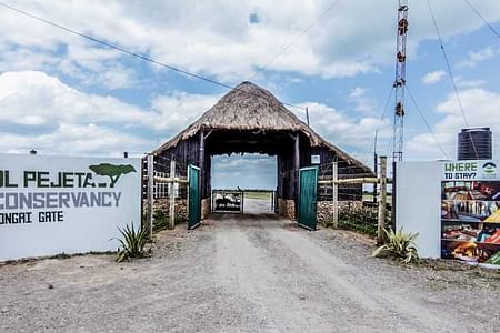 3 DAYS OLPEJETA CONSERVANCY SAFARI FROM NAIROBI