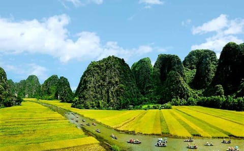 Private Day Tour of Mua Cave and Tam Coc from Hanoi/Ninh Binh
