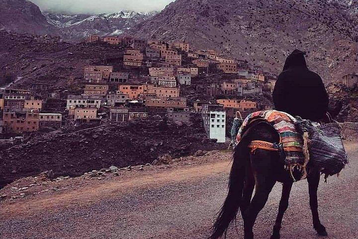 Atlas Mountains Adventure: Camel Ride, Berber Villages & Imlil Valley