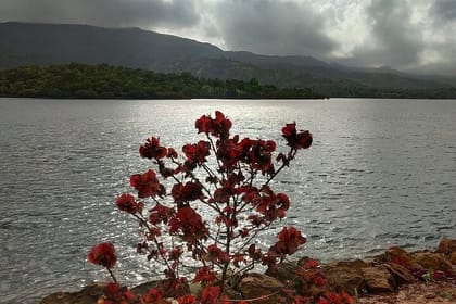 Pune to Goa: Wildlife Safari and Beach Retreat