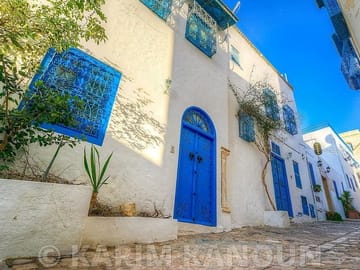 Private Tour of Bardo Museum, Carthage, and Sidi Bou Said