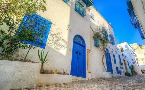 Private Tour of Bardo Museum, Carthage, and Sidi Bou Said