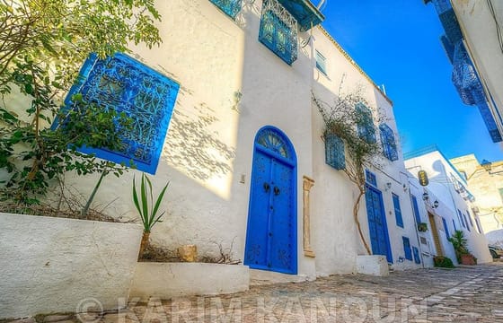 From Tunis: Private Tour Bardo Museum- The ruins of Carthage- Village of Sidi Bou Said