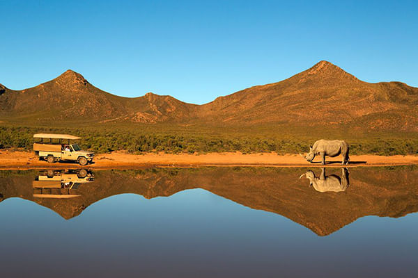 Rhino beside a tranquil lake in the Aquila Reserve.