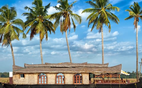 5-Day Kerala Culture and Backwaters Tour from Kochi