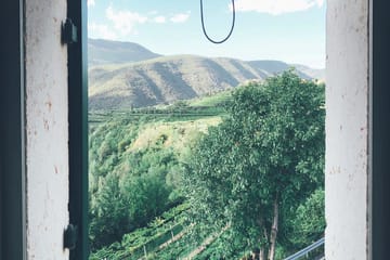 Olive Oil Tasting Tour at Tenuta Santa Maria Valverde, Italy