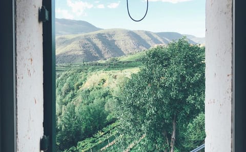 Olive Oil Tasting Tour at Tenuta Santa Maria Valverde, Italy