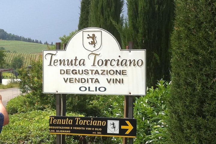 Torciano winery