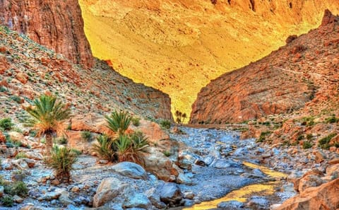 4-Day Private Desert Adventure Tour from Marrakech
