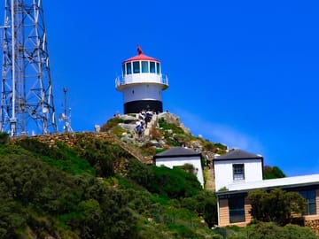 Cape Point and Penguin Viewing Tour from Cape Town
