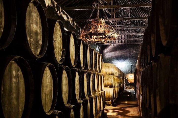 Azeitão Wine & Flavors Tour — Tradition, Taste, and the Spirit of Setúbal
