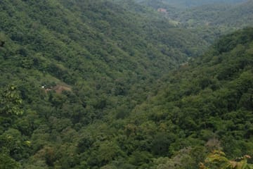 90 km Mountain Bike Tour of Samoeng Mountain Loop, Chiang Mai