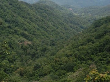 90 km Mountain Bike Tour of Samoeng Mountain Loop, Chiang Mai