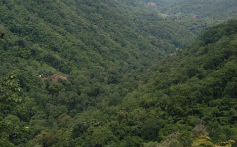 90 km Mountain Bike Tour of Samoeng Mountain Loop, Chiang Mai