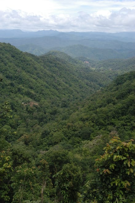 "BIKE 11" 1-Day road ride 90 km Samoeng Mountain Loop, Chiang mai photo 3