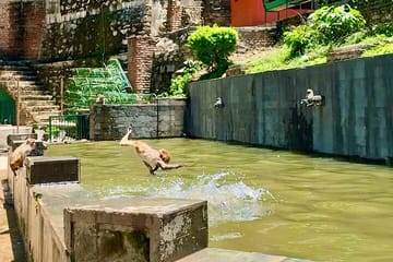 Chandragiri Cable Car Ride & Monkey Temple Tour – Private/Group