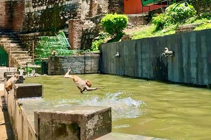 Chandragiri Cable Car Ride & Monkey Temple Tour – Private/Group