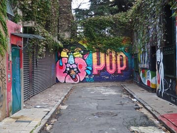 Walking Tour of Street Art in Palermo, Buenos Aires