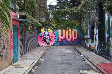 Walking Tour of Street Art in Palermo, Buenos Aires