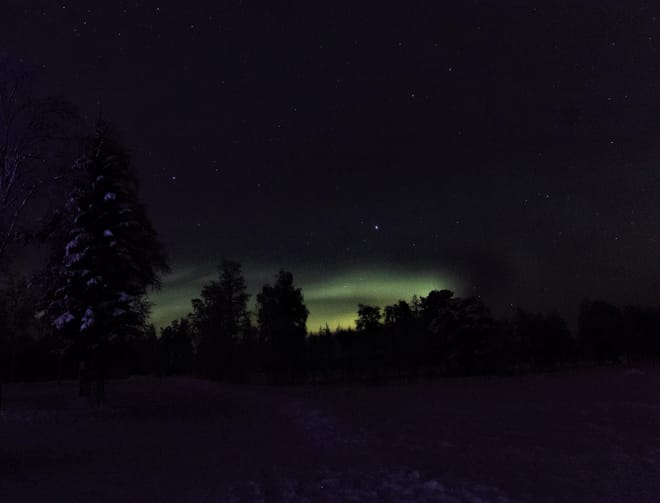 Searching for the Auroras