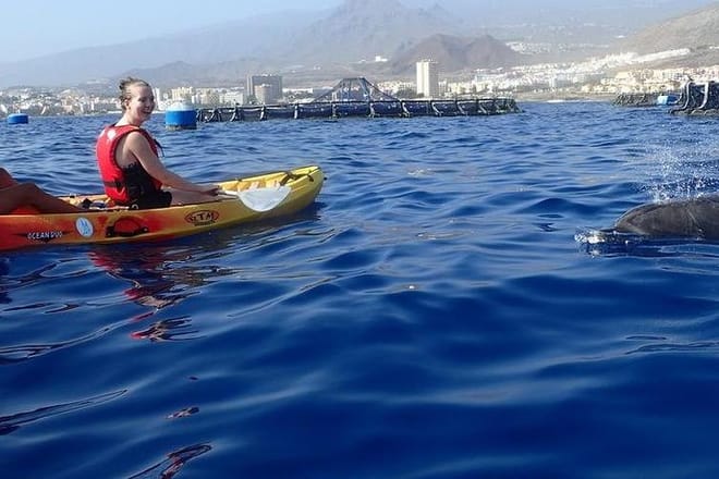 Kayaking, Snorkeling & Swimming  photo 2