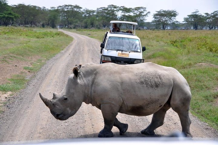 8 Days Mombasa, Tsavo East, Amboseli, Naivasha & Masai Mara Safari 8