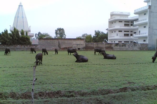 A Part of Mount Abu