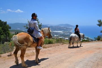 Side Horse Safari in Forest and Beach with Transfer