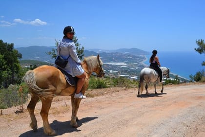 Side Horse Safari in Forest and Beach with Transfer