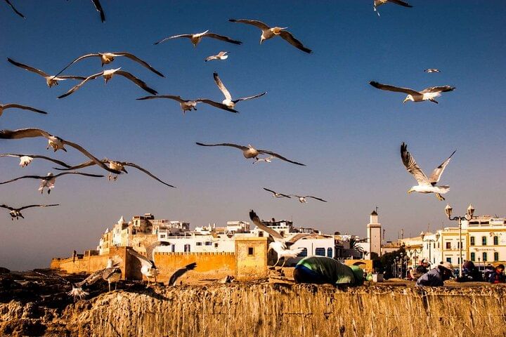 Day Trip To Essaouira From Marrakech with /small group