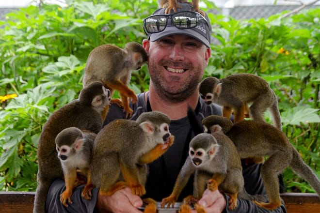 3x1: Puerto Plata Cable Car, City Tour & Monkeyland 2