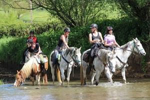 Antalya Horse Riding Tour 
